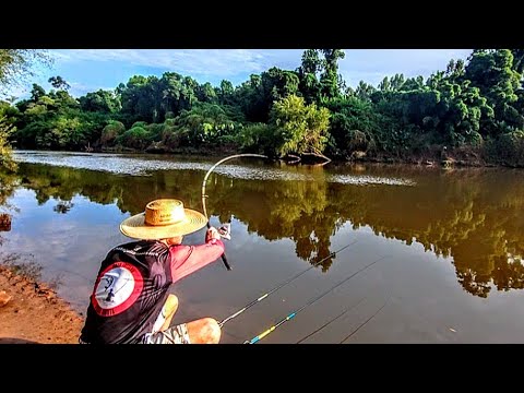 ISCA DE PEIXE FOI FATAL - COMO PESCAR CAMPINEIRO E CASCUDO - DICAS DE PESCA