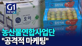 [G1뉴스]농산물연합사업단 