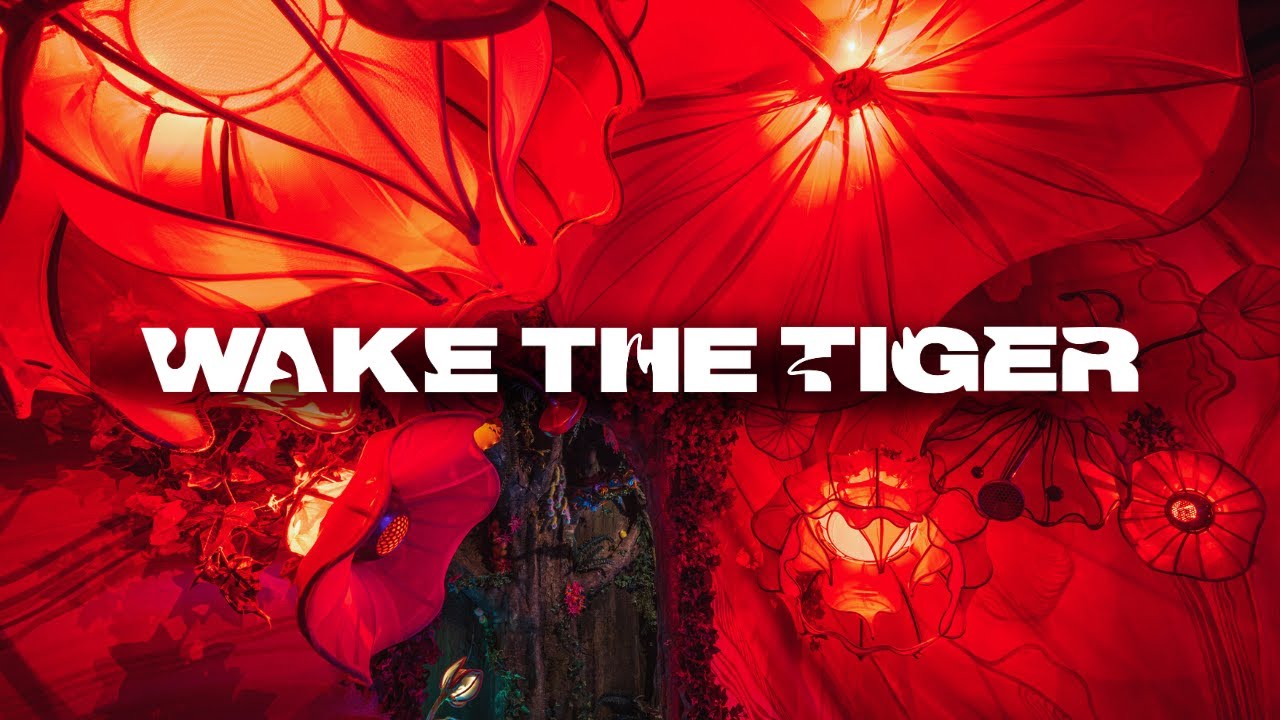 Step Into The Surreal This Summer at Wake The Tiger✨ - YouTube