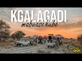 Overlanding Mabuasehube Kgalagadi Transfrontier Park