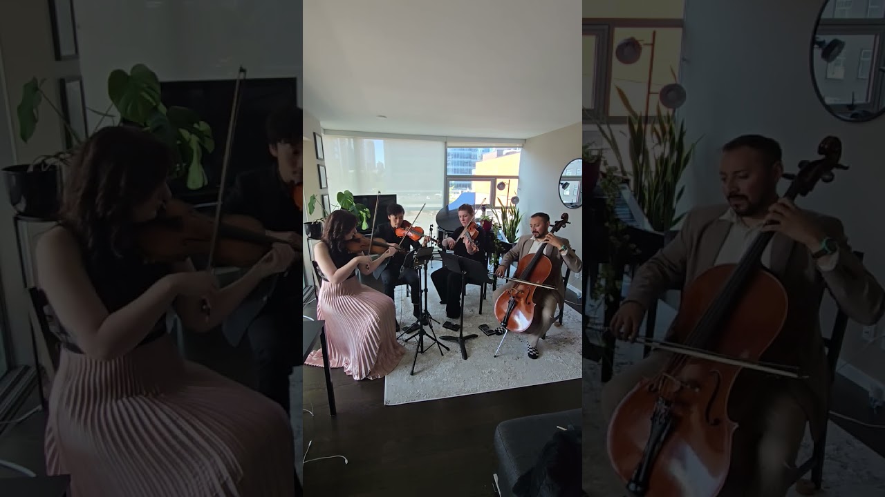 Promotional video thumbnail 3 for String Theory Ensemble | Vancouver BC