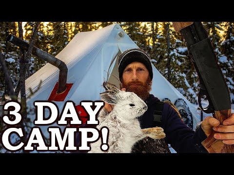 Overnight Winter Camping in Canada! | Wood Stove, Wild Food
