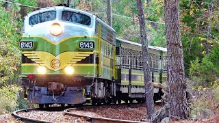 The Stone Mountain Scenic Railroad