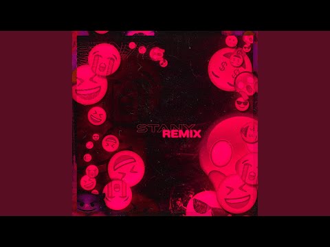 Stany Remix