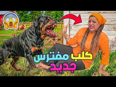 أخيرا..اشتريت كلب مفترس لزوجتي🐶(ولكن هجم عليها🚨)