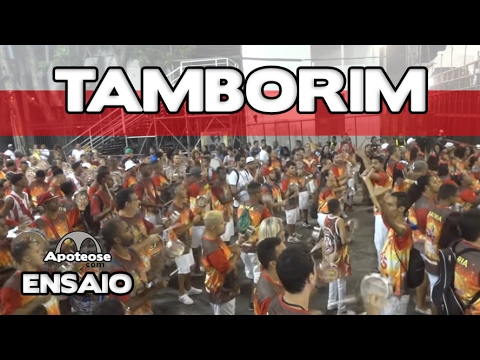 Alegria da ZS 2017 - Desenho de tamborim - Ensaio técnico