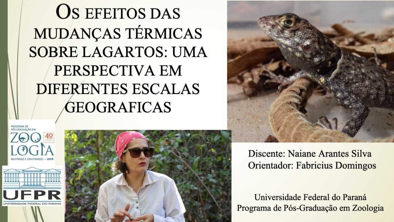 Defesa de Doutorado - Naiane Arantes Silva