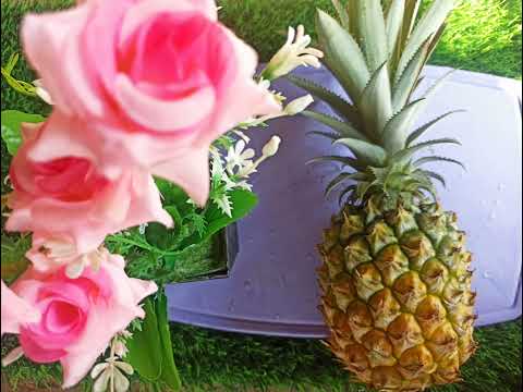 #fruits#highlight;ybcfoeyou#