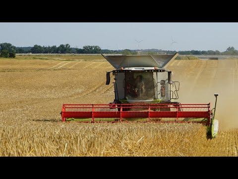 Barley harvest | East-Germany | Claas lexion 7400 | Claas Trion 750 TT