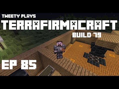 Tweety plays Terrafirmacraft ep 85 - Building