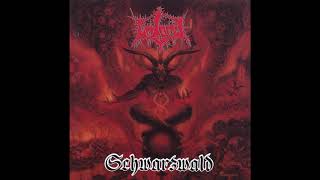 Unlord - Schwarzwald [Full Album / Black Metal HQ]