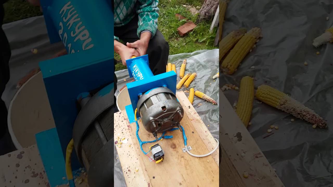 �������� ����� ����������� ����������������