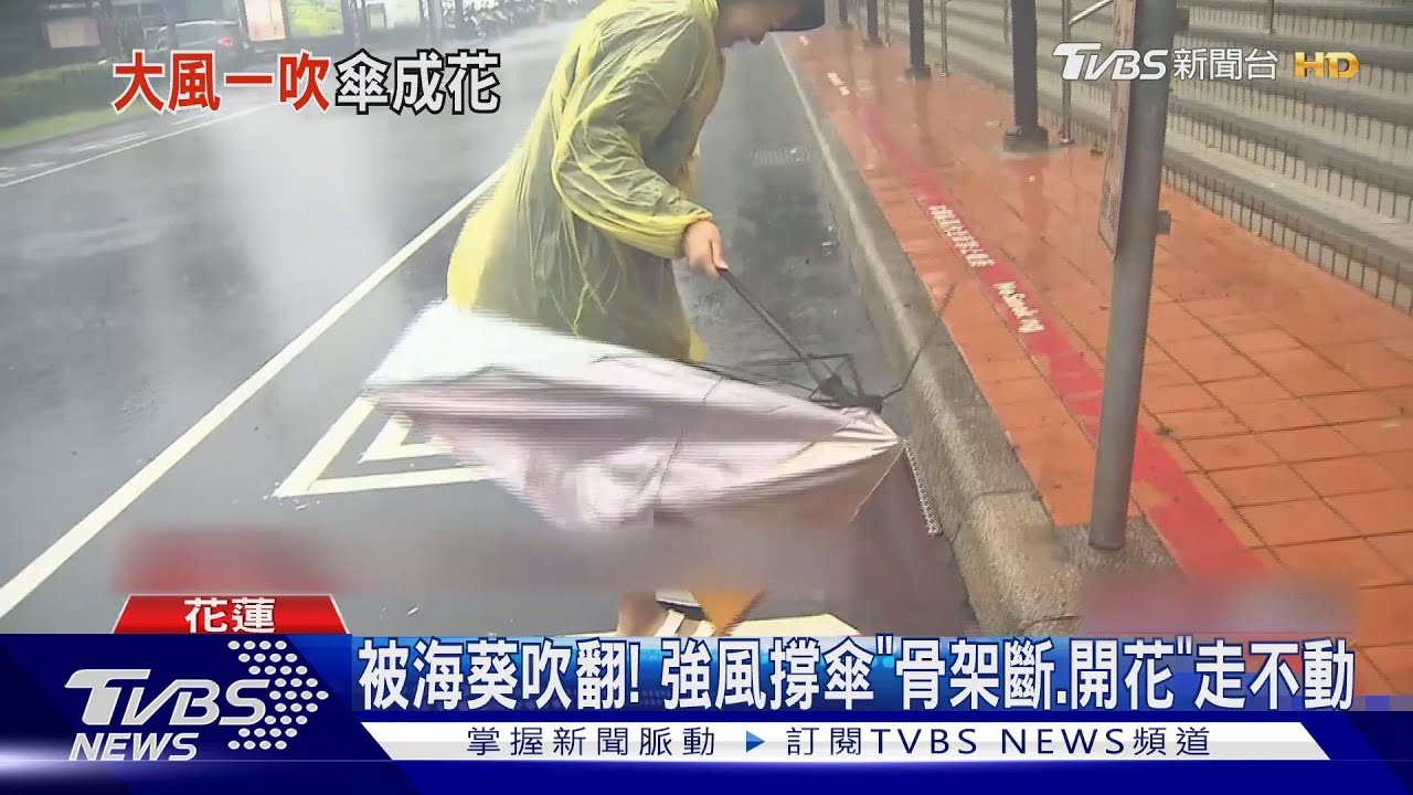 被海葵吹翻！　強風撐傘「骨架斷、開花」走不動