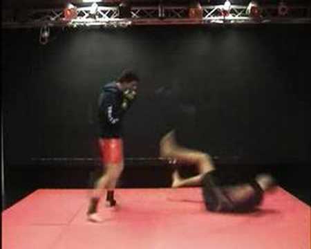 Meister Zim -Vale Tudo-  --Knock Outs--