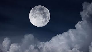 صورة شرح الملخص الفقهي (6) | نواقض الوضوء 2 | الشيخ عبدالرحمن الودعان