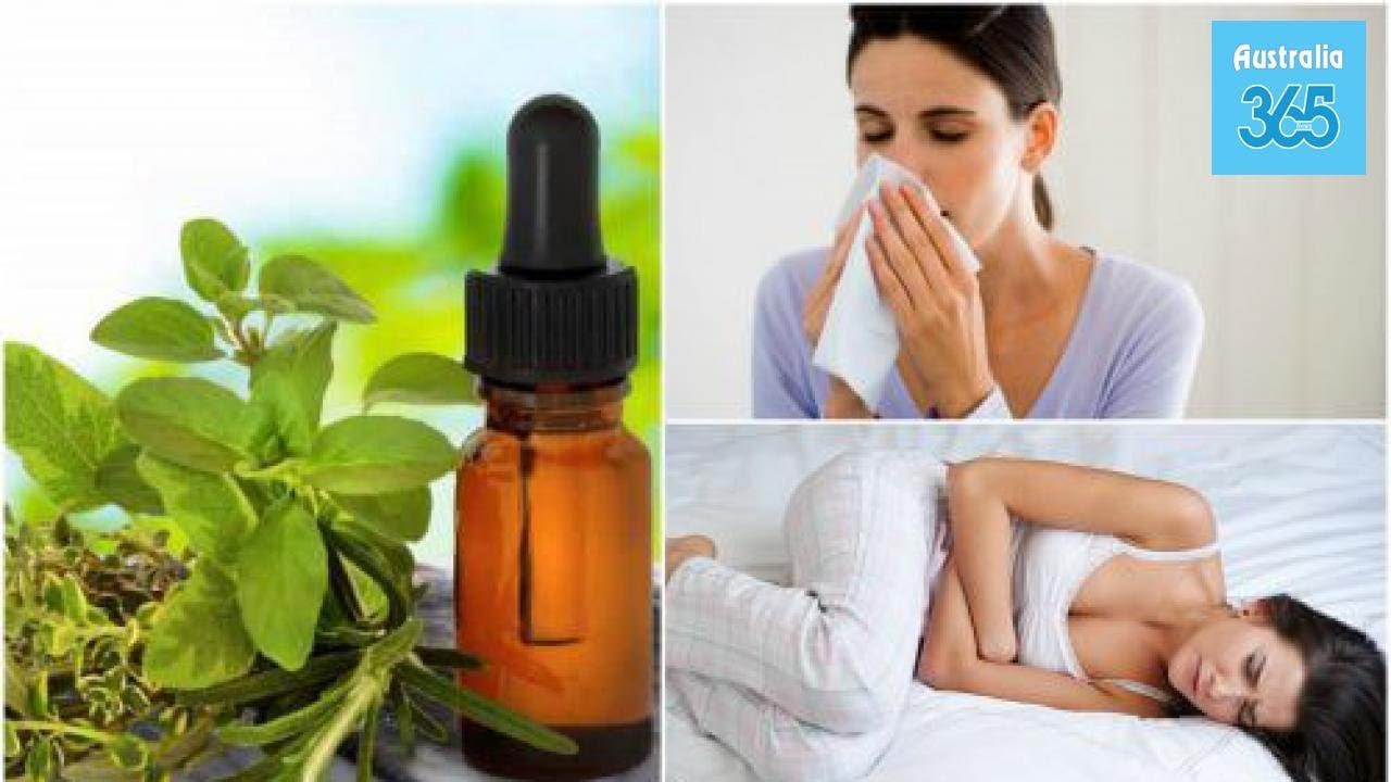 8 Natural Medicinal Uses for Oregano Oil - Australia 365
