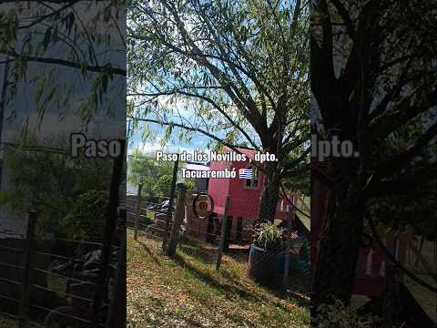 Paso de los Novillos , departamento de Tacuarembó , Uruguay , interior turbo/mega/ultra profundo 🇺🇾