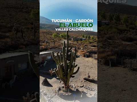 Cardón El abuelo - Amaicha del Valle - Tucuman - Dron #mountains #travel #drone #tucuman