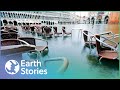 Can Italy Save Venice From Flooding For Good? | The Death Of Venice | Earth Stories