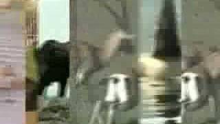 The Books - "An Owl With Knees" (official video)