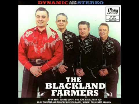 The Blackland Farmer - I Will Rock and Roll With You (SLEAZY RECORDS)