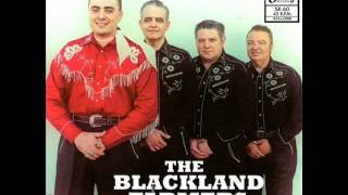 The Blackland Farmer - I Will Rock and Roll With You (SLEAZY RECORDS)