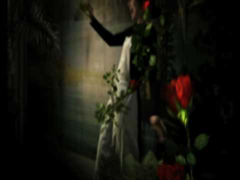 Showreel Marta Carvalho