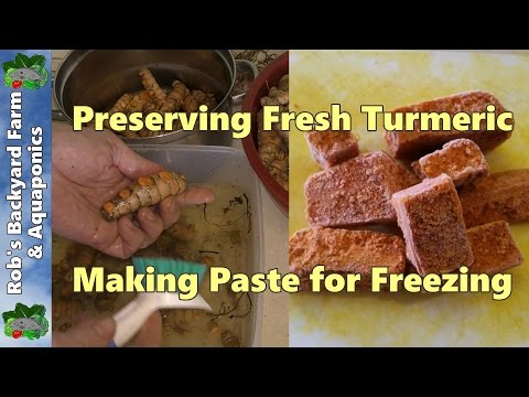 download lagu mp3 mp4 Freezing Turmeric Paste, download lagu Freezing Turmeric Paste gratis, unduh video klip Freezing Turmeric Paste