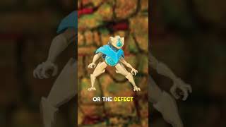 Cards vs. Chaos! Slay the Spire: The Board Game is our boardgame of the week