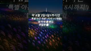 지금 하늘공원 안 가면 1년 후회합니다 (ft. 야간개장 막차) #shorts