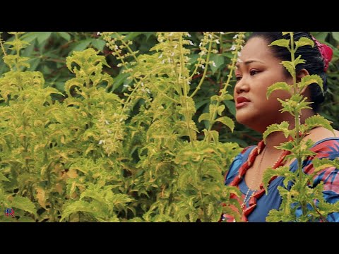 O O'U ALOFAAGA by: Tofaga Meke - Alofaaga o Jason Vaovasa mo si ona aiga i Samoa