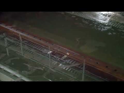 Legionella Bacteria TWW