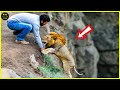50 Real Life Superheroes Caught on Camera! #8  Animals That Asked People for Help! DEFAULT Thumbnail