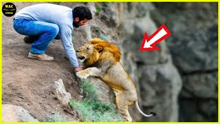 50 Real Life Superheroes Caught on Camera! #8  Animals That Asked People for Help! MQDEFAULT Thumbnail