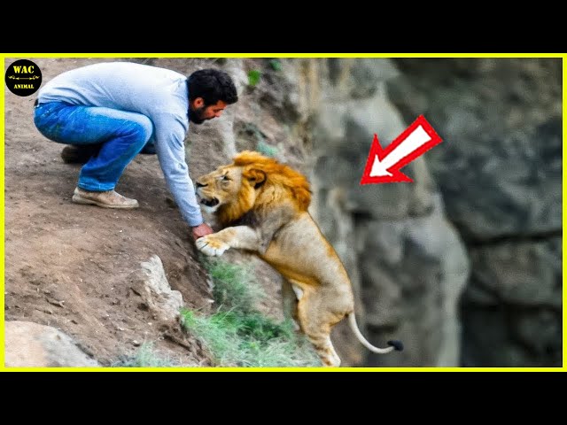 50 Real Life Superheroes Caught on Camera! #8  Animals That Asked People for Help! SDDEFAULT Thumbnail