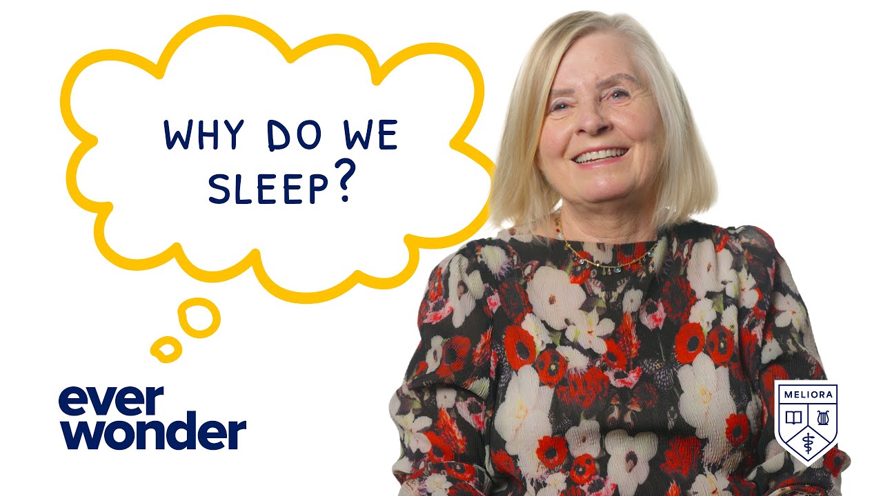 Ever Wonder: Why Do We Sleep?