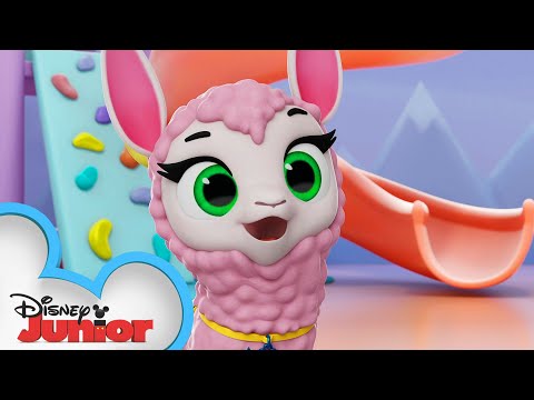 Lulu Llama | T.O.T.S. | @Disney Junior