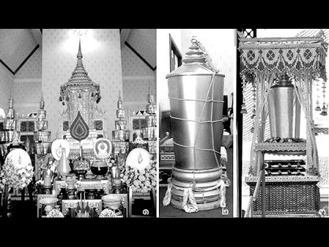 เพิ่มสมาชิกในวัยใด เพิ่มขยายอวัยวะเพศชาย