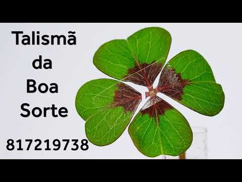 Talismã da Boa Sorte com os Numeros Grabovoi - 817219738