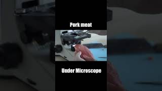 pork meat Under Microscope 62