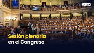 Sesión plenaria en el Congreso (28/10/2025)