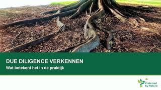 EUTR Webinar Netherlands March 2021 – Exploring Due Diligence, what does it mean in practice (Dutch)