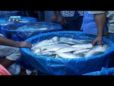 আজ থেকে ইলিশ ধরা বন্ধ, রাতে কেনার ধুম