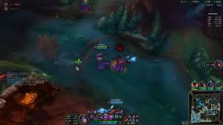 aaa