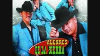 alegres de la sierra- Zenaida ingrata