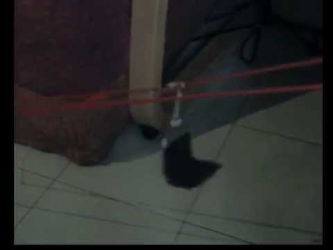 Seggiovia/Chairlift Test 2 CLF Prato Innevato - video