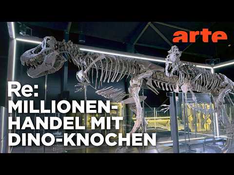 Video Thumbnail: Das Geschäft mit Dino-Fossilien | ARTE Re: