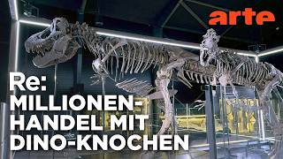 Das Geschäft mit Dino-Fossilien | ARTE Re:
