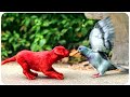 Baby Clifford Best Puppy Scenes 4K ᴴᴰ