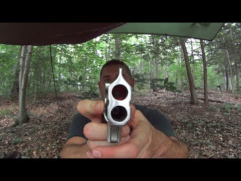 Hammock camping in areas with bears.